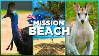 MISSION BEACH: Searching for LIVING DINOSAURS  in Australia! Amazing BEACH & RAINFOREST in 4K