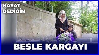 Hayat Dediğin - Besle Kargayı