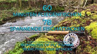 60 MINUTEN FLIEGENFISCHEN / 78 SPANNENDE FISCHATTACKEN / 60 MIN OF FLY FISHING / 78 FISH ATTACKS