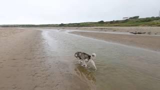 Anglesey Coast Path: Walk from Aberffraw