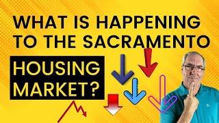 What Is Happening to the Sacramento Housing Market? | The Adopt a Dog Realtor