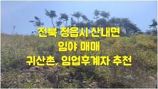 전북 정읍시 산내면 임야매매 (귀산촌,임업후계자 추천) #수종갱신  #산림조합 #임업후계자 #귀산촌