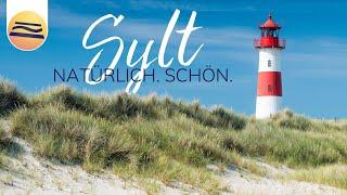 Naturschönheit Sylt | Zwischen Dünen, Strand und Heide