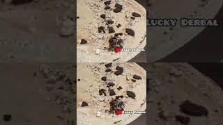 Oreo crepes #shortfeed #shortsvideo #short