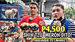 BADGET PUPPIES | 4,500 SHIH TZU  SA ARRANQUE PET MARKET