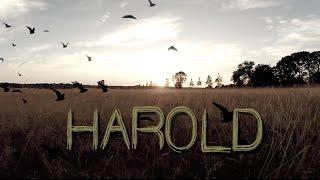 "Harold" Short Film