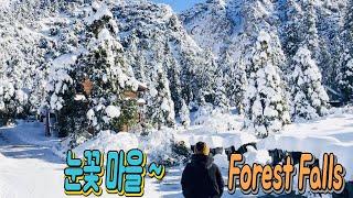 눈꽃 마을 Forest Falls