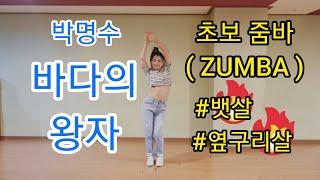 박명수- 바다의왕자  초보자댄스 줌바(ZUMBA) | 다이어트댄스 살빠지는춤 | Choreo by 정혜진(Jung Hye Jin)