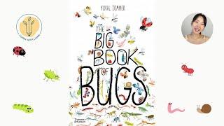 The Big Book Of Bugs by Yuval Zommer