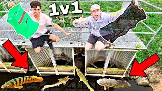 1v1 Fish Trap CHALLENGE in the Florida Everglades for EXOTIC FISH!!