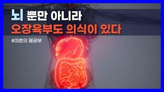 동의보감으로 알아보는 몸과 의식 속에 숨겨진 비밀 코드｜마흔의 몸공부