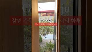 힐링이 필요한 당신에게 ️#travelvlog#hotel