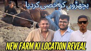 New Farm ki Location | Bachro ko Khassi kar Diya || Boss Cattle Farm