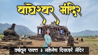 वर्षातून फक्त ३ महिनेच दिसणारं मंदिर | वाघेश्वर मंदिर | Wagheshwar Mandir | Shilimb | Maval | Pawna