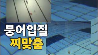 붕어의 입질과 찌맞춤의 수중 비밀 공개_호기심 낚시천국