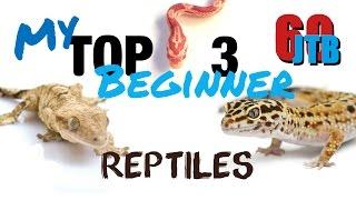 My Top 3 Beginner Reptiles | JTB 60