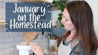 A DAY IN THE LIFE OF HOMESTEADING FAMILY | YOUTUBE HOMESTEADING FAMILY | JANUARY HOMESTEAD 2021