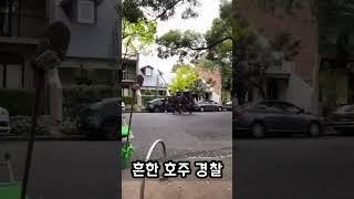 #시드니경찰 #말 #호주워홀