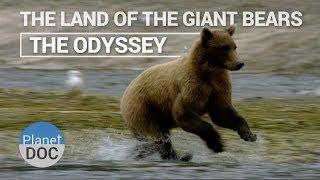 The Land of the Giant Bears - The Odyssey | Nature - Planet Doc Full Documentaries