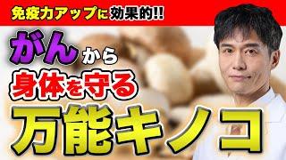 きのこを食べ続けるだけでがん予防ができる!? 意外と知らないアノきのこの健康効果とは