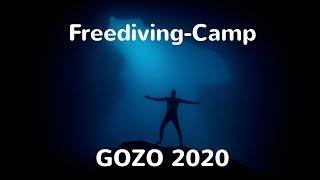 FREEDIVING CAMP - GOZO - 2020