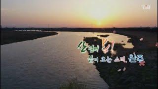 완주 화첩기행(534회)-한수희 화가 와 기타리스트 홍소림의  산너머 봄이 오는 소리를 완주 여행으로 만나봅니다. SBS(TJB)