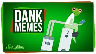 The Science of Dank Memes