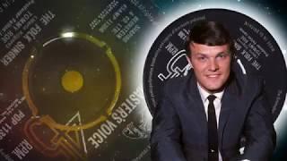 Tommy Roe  -  The Folk Singer