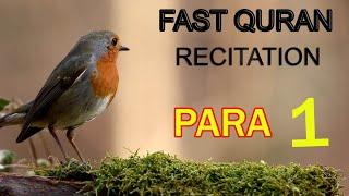 Quran Para 1 ; Fast Quran | Beautiful Recitation of Quran |Raheemi Tv