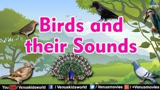 Animal World - Birds and their Sounds