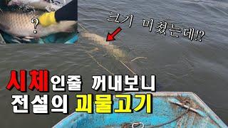 떠밀려온 시체인줄 알았는데...1미터가 넘는 전설의 괴물고기가 잡혔습니다ㄷㄷ