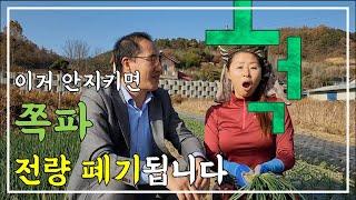 이거 안지키면 쪽파 전량 폐기됩니다? | 2023 PLS 제도 소개