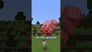 Leads are Finally Fixed in Minecraft
