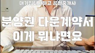 분양권 다운계약서, 이게 뭐냐면요 [대기업퇴사하고 공인중개사]