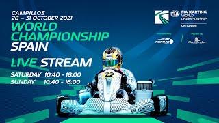 FIA Karting World Championship 2021 (JUNIOR/OK) Sunday