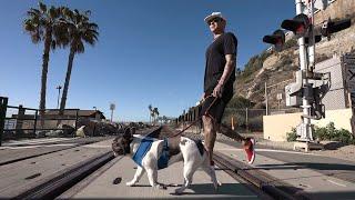 Ryan Sheckler - etnies Day in the Life