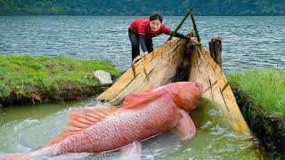 Harvesting MUTANT CATIFISH go to market sell | Susan Daily Life