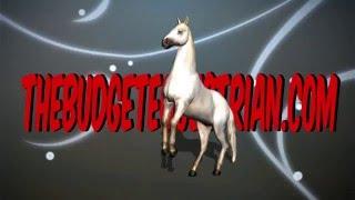 The Budget Equestrian