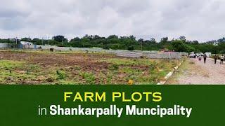 Farm Plots for Sale at west zone near shankarpally || Subiksha Infra Developers || Amaayra Homes