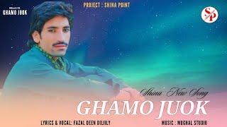 Ghamo Juok by Fazal Deen Diljily New Song || Shina New Song 2024