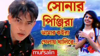 সোনার ও পিঞ্জিরা আমার কইরা গেলায় খালিরে..|| mursalin