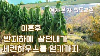 50대1인가구/이혼후 반지하에서  산골세컨하우스/얻는게있으면  잃는것도있다/김장하는날/고양이