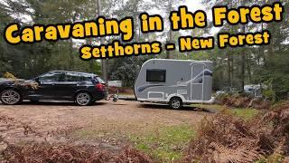 Tiny Caravan at Setthorns Campsite between the Forest Trees