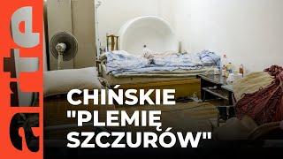 Chiny: Plemię szczurów | ARTE.tv Dokumenty