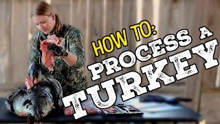 How To Process a Wild Turkey - With Becky Bloomfield