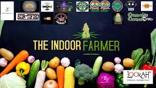 The Indoor farmer Reviews #24! Mason City Limits Comedy Club & Gro Up Gardening!