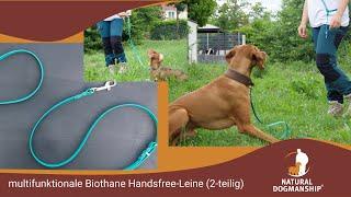 Multifunktionale Biothane Handsfree-Leine (2-teilig), 16 mm breit