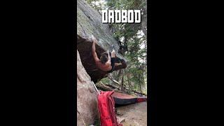 Dadbod V9 - Stone Garden