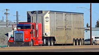 Truck Spotting in Kindersley - Vol.3 | Fall 2024