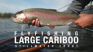 Fly Fishing for Large Cariboo Stillwater Trout